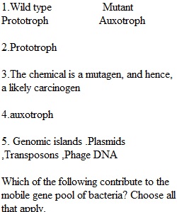 Quiz Chapter 8